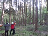 Maibaum_2016 (43).JPG